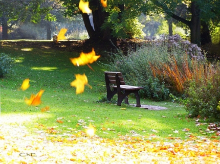 la i ve  oi gio  heo may