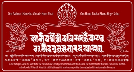 mau nhiem thay hai bai than chu